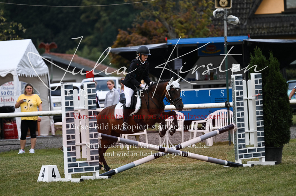 DSC_5707 | Pferde- und Turnierfotografie in Westsachsen. Pferdeportraits, Auftragszeichnungen und intuitive Kunst.