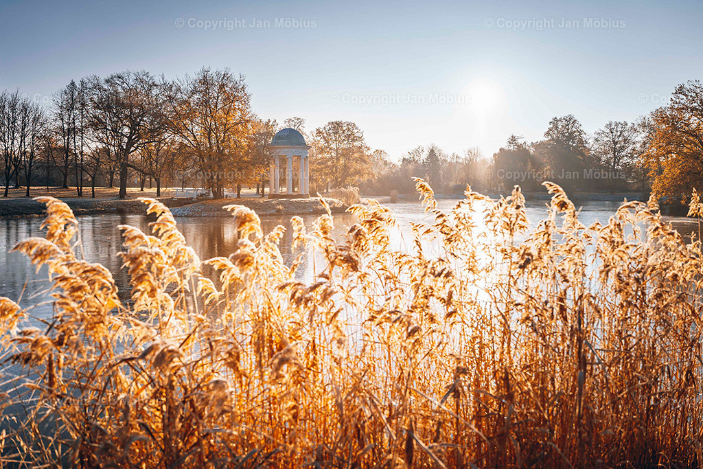 _DSC5175 | Leipzig Wandbilder Drucke Prints Leinwand Stadtmotive Leipzig Fotosdruck Kunstdrucke Bilder Leipzig Stadtansichten Acrylglasbilder Leipzig Wanddeko Fine Art Prints Wandbilder Büro Leipzig Bilder Praxis Zuhause Bilderdruck Poster Posterlounge Kunstdrucke - Realisiert mit Pictrs.com