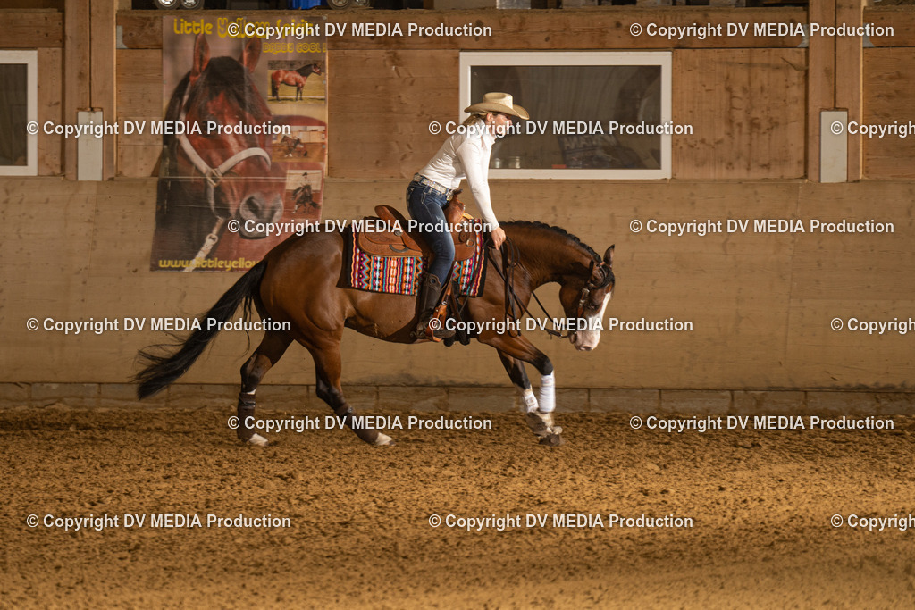 LAU00299 | dv-media-shop - Realisiert mit Pictrs.com