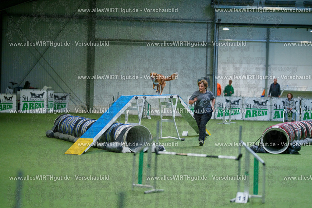 @allesWIRTHgut_Tierfotografie - www.allesWIRTHgut.de - 2604250824-7R506469 | Professionelle Tierfotografie in Mönchengladbach von Daniel Wirth (allesWIRTHgut). Liebevolle & natürliche Bilder von Hunden & Katzen für unvergessliche Erinnerungen.