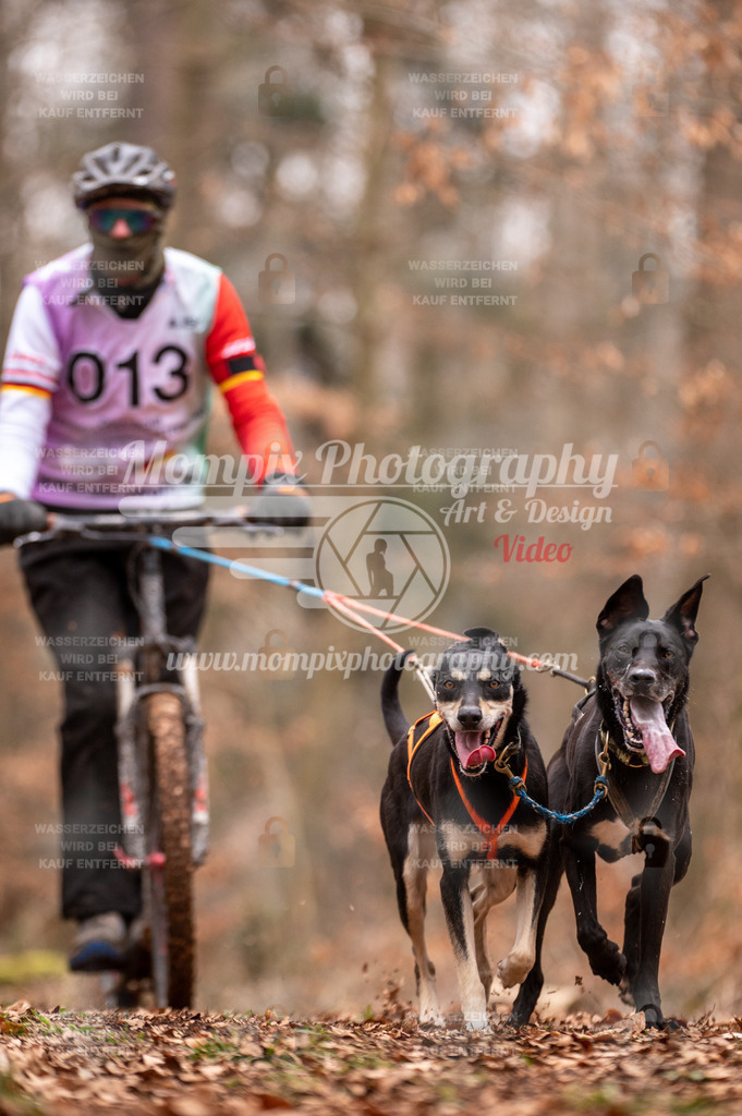 AKM_ST_2023_SAM_DS2-18 | PayLife