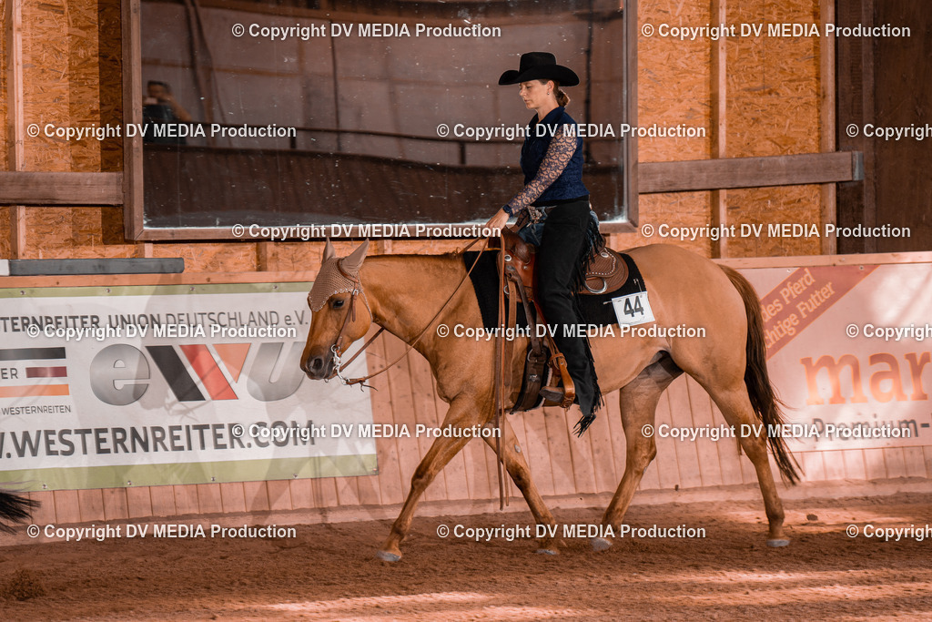 NE101033 | dv-media-shop - Realisiert mit Pictrs.com