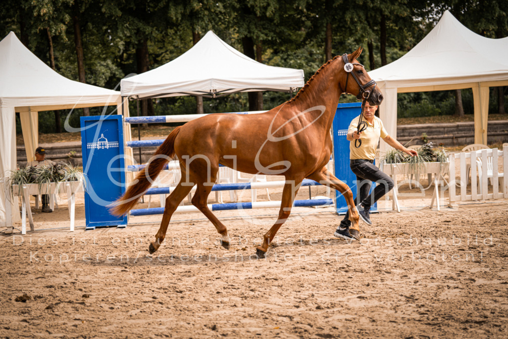 5.Fr00039 | Leoni Ertmer Photography - Realisiert mit Pictrs.com