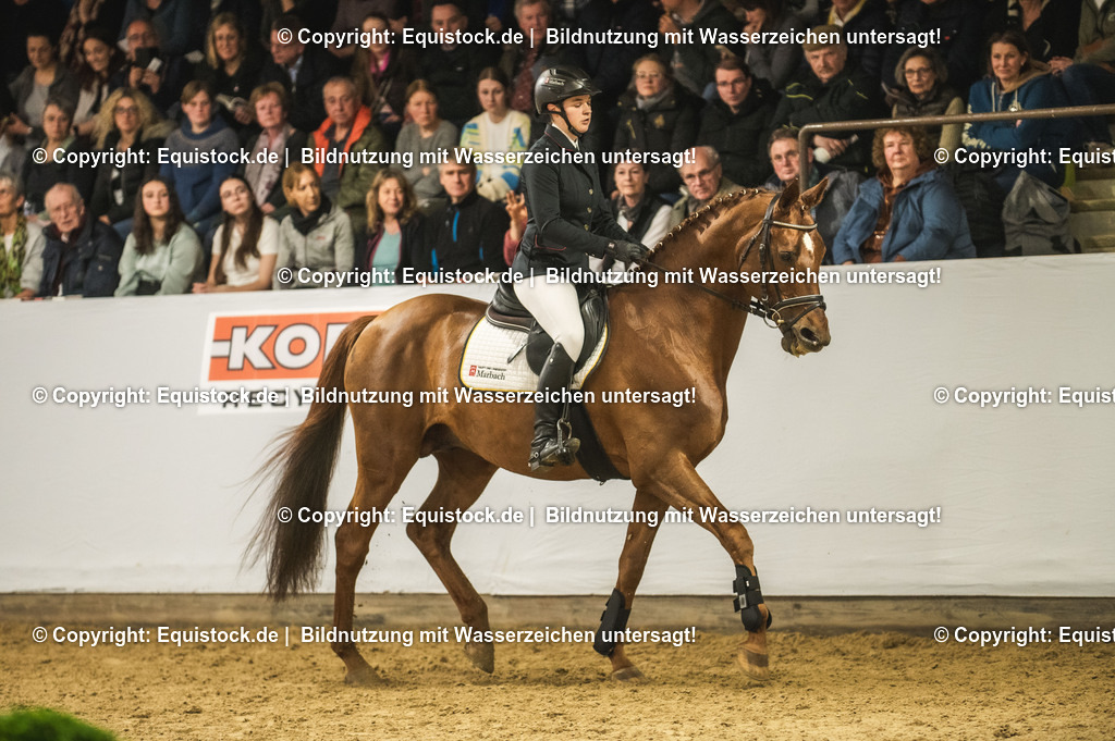 20240302_Hengstvorstellung_Marbach_TOMsPiC_1343 | equistock