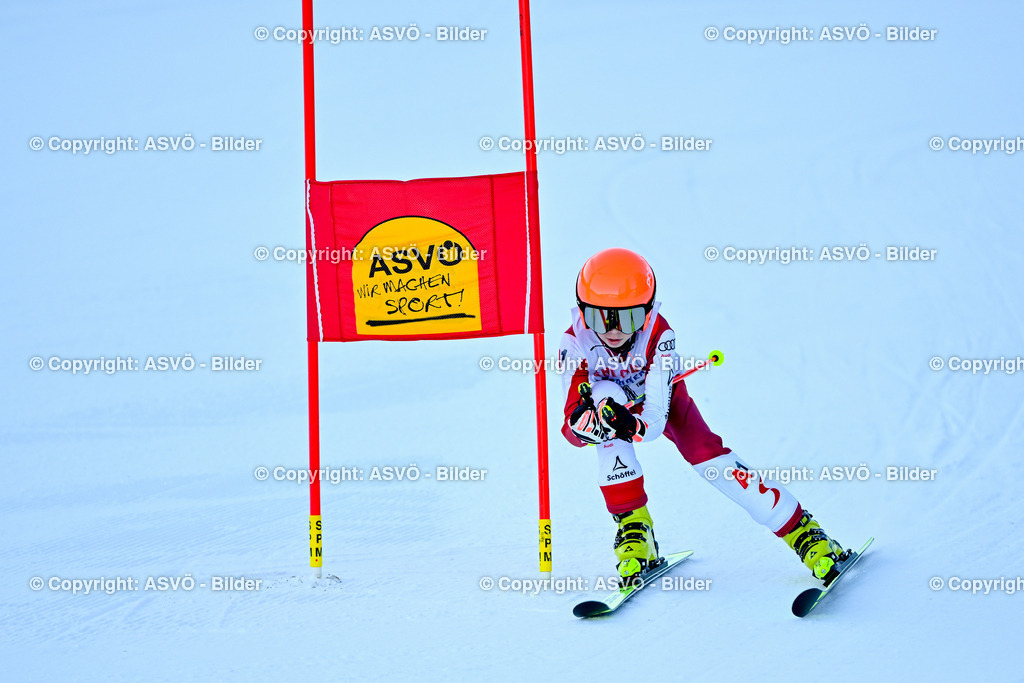 ASVÖ_ Skitrophy 2025_ 02.02.2025-54 | 02.02.2022, Hinterstoder, AUT, ASVÖ, Skitrophy 2025 im Bild Teilnehmer©Harald Dostal / fodo.media - Realisiert mit Pictrs.com