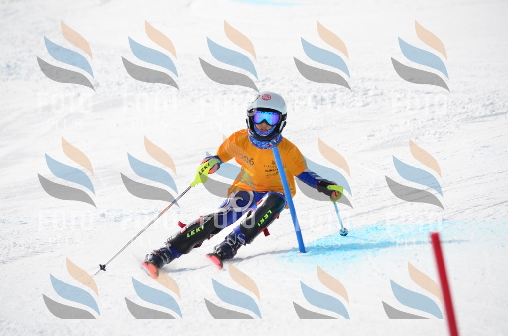 C8150 | holidayphoto