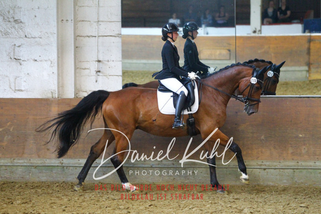 DKP43635 | Turniersportfotografie; Pferdefotografie; Dressurfotografie