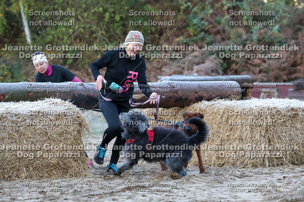 Dog Paparazzi - Strongdog 10-25-22 | Dog Paparazzi Jeanette Grottendiek Fotografie & Videografie - Realisiert mit Pictrs.com