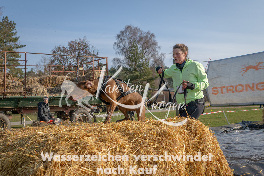 _ZZ92302 | kk-dogfotos