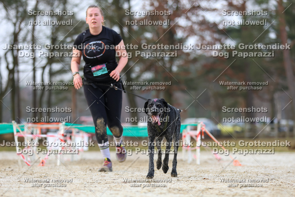 Dog Paparazzi - Strongdog North Mrz26-3707 | Dog Paparazzi Jeanette Grottendiek Fotografie & Videografie - Realisiert mit Pictrs.com