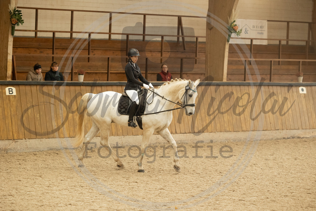 994A4735 | sabrinanicolaifotografie - Realisiert mit Pictrs.com