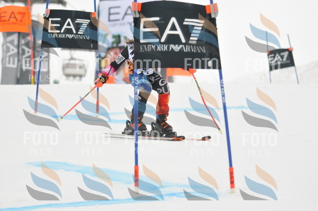 DSC_7498 | holidayphoto