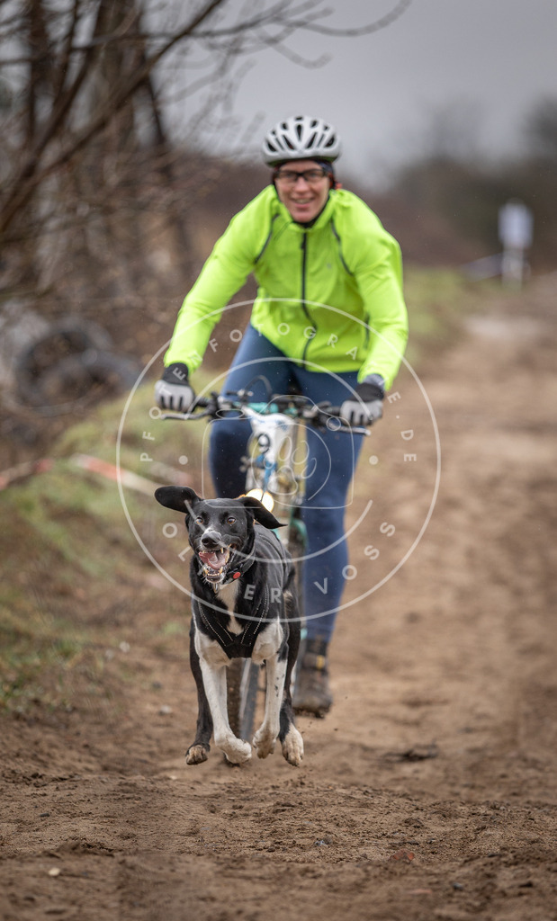 DV3A8892 | Hundefotografie, Tierfotograf, Pfotenfotografie, Fotoshooting Hund, Hunde Portrait, Hundesport, Hundeportraits, Heideshooting, Hunde, Sportfotograf, Hundefotograf, Turnierhundsport, THS,  - Realisiert mit Pictrs.com