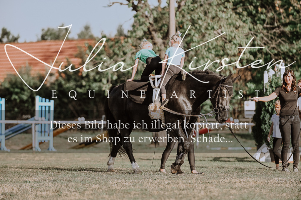 DSC_9921 | Pferde- und Turnierfotografie in Westsachsen. Pferdeportraits, Auftragszeichnungen und intuitive Kunst.
