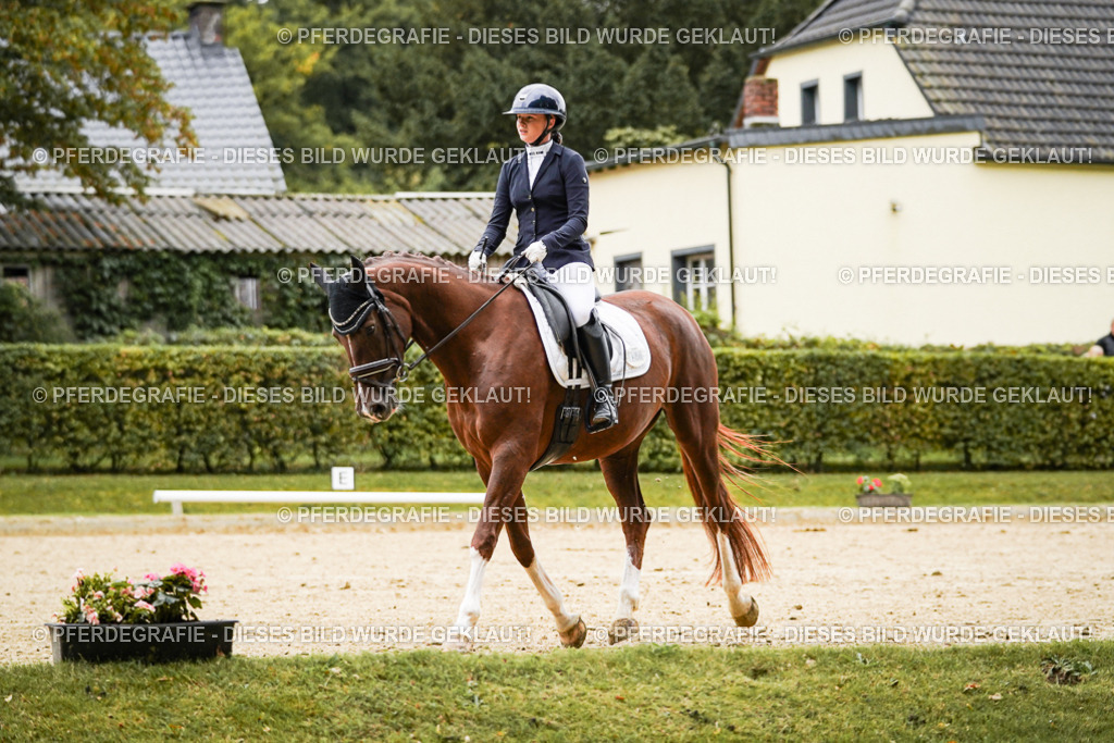 DSC06956 | Pferdegrafie