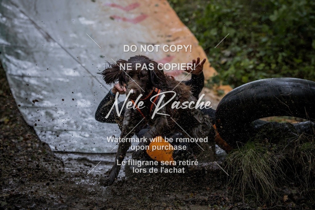 nelerasche_Hunsrück_Sa0930-1000_22-final | nelerasche