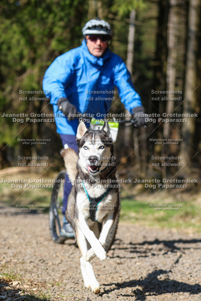 Dog Paparazzi - VCC26-98 | Dog Paparazzi Jeanette Grottendiek Fotografie & Videografie - Realisiert mit Pictrs.com