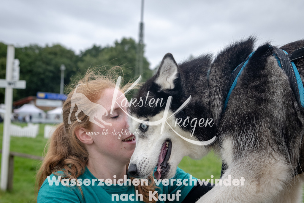 1231_ZZ91088 | kk-dogfotos