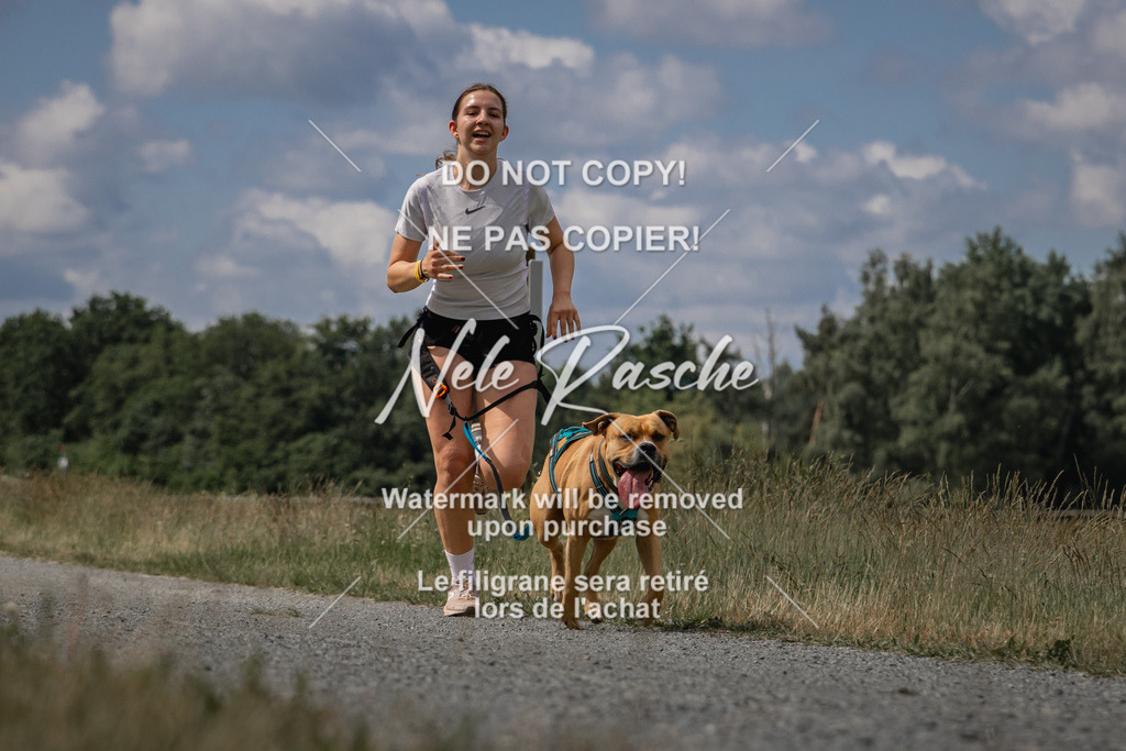 nelerasche_BuHu2026_SaCC1100-1200_11 | nelerasche