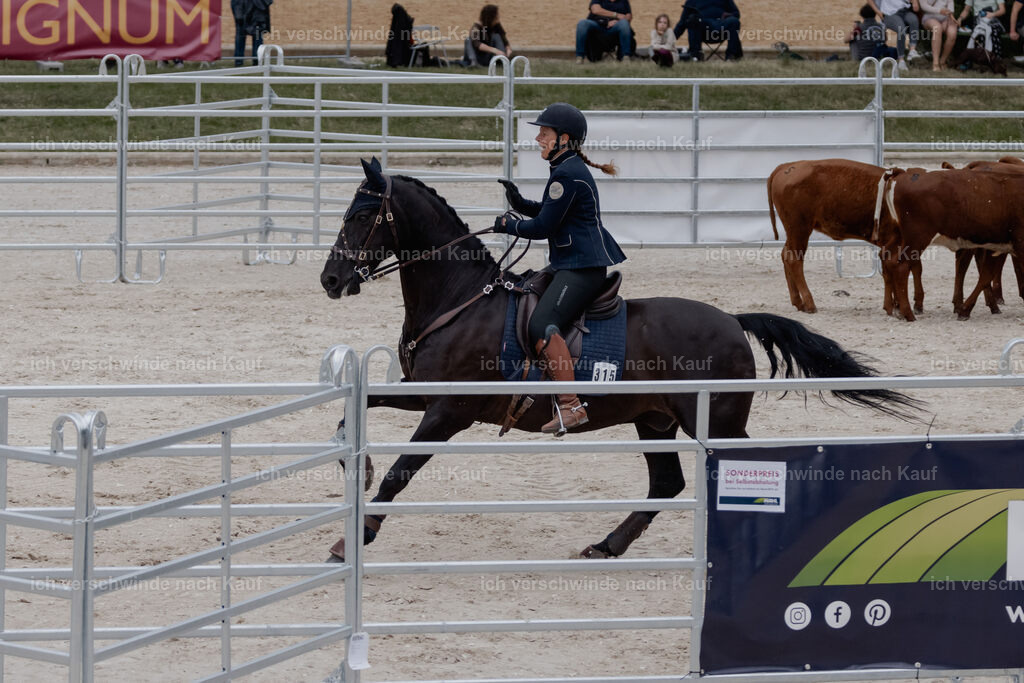 WE__Stoib_Rinder_PI2025_2991 | Pferd International München 2025