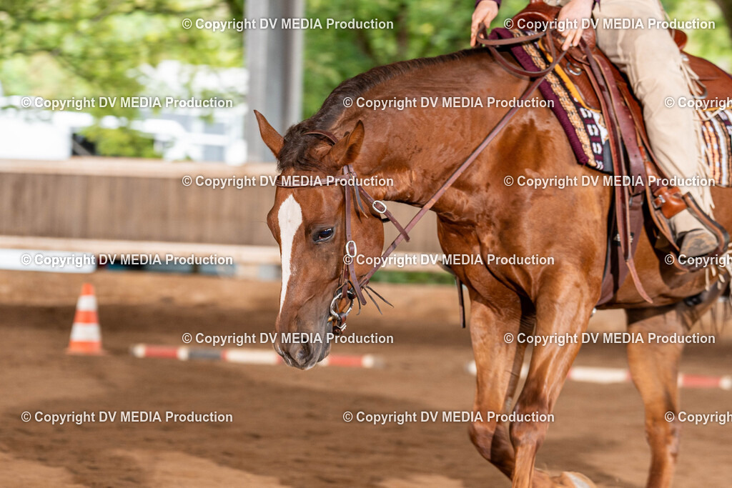 Erbach Tag 1-342 | dv-media-shop - Realisiert mit Pictrs.com