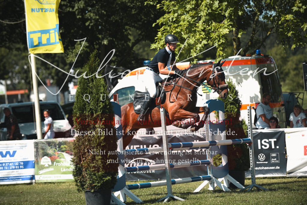 DSC_6992 | Pferde- und Turnierfotografie in Westsachsen. Pferdeportraits, Auftragszeichnungen und intuitive Kunst.