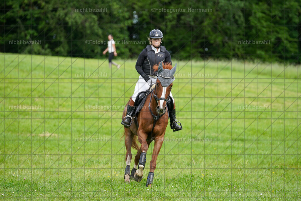 20240518-FAH03911 | Turnierbilder von Niederseon, Turnierfotografen Bayern, Fotoagentur Herrmann, Geländebilder, Reitsportfotografie