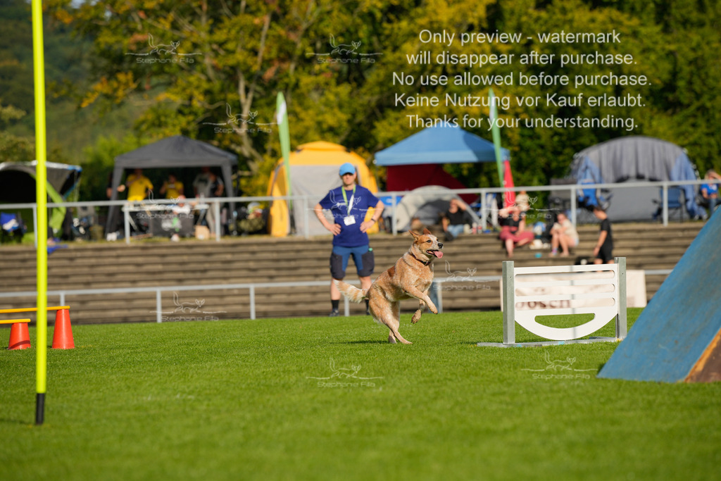 Samstag_CSC (1644 von 2023) | stephaniefillaphotographie - Realisiert mit Pictrs.com