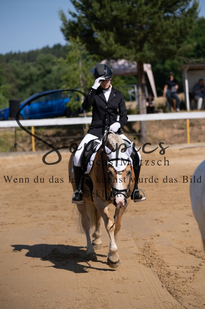 A7V07753 | Pferdefotograf