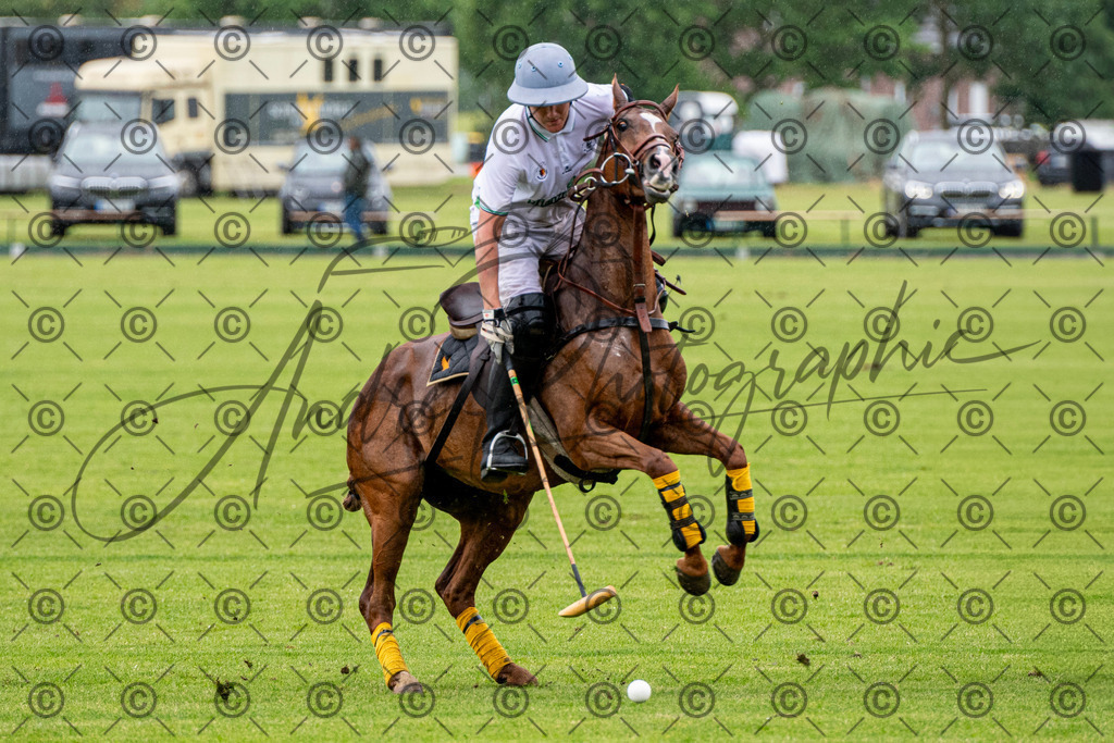 POL_2648 | andre_photographic