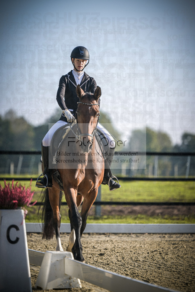DOS_0252 | Entdecke hochwertige Reitturnierfotos von Foto Oger. Professionell, emotional und authentisch – jetzt Lieblingsmomente im Shop bestellen.Deutschlandweite Turnierfotografie. - Realisiert mit Pictrs.com