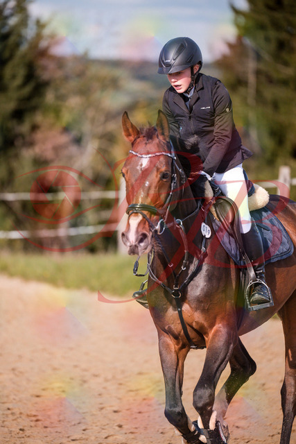 2026_10_03_Siefer-Hof_160015_Z81_81172183 | Professionelle Reitsport-, Turnier- und Eventfotografie von Robert Broda. Galerien mit ausgewählten und bearbeiteten Bildern direkt online ansehen und bestellen.