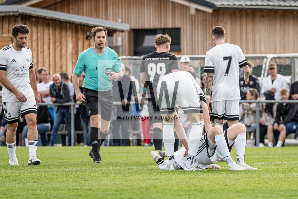 1WW09738 | walter-wagner-fotografie