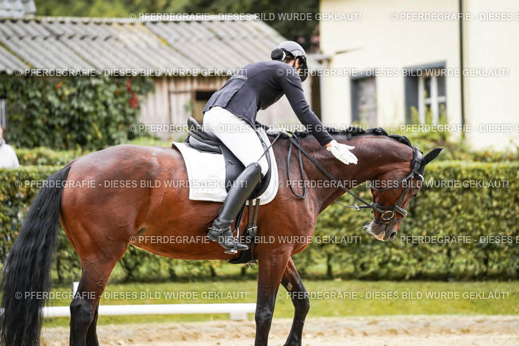 DSC07516 | Pferdegrafie