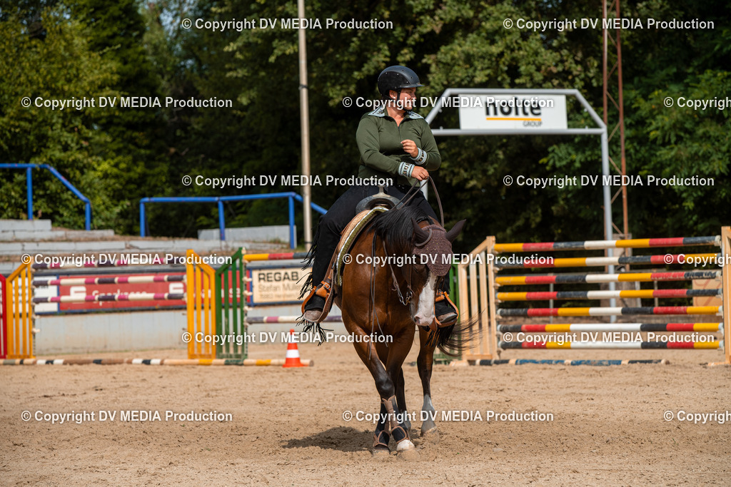 EWP_5932 | dv-media-shop - Realisiert mit Pictrs.com