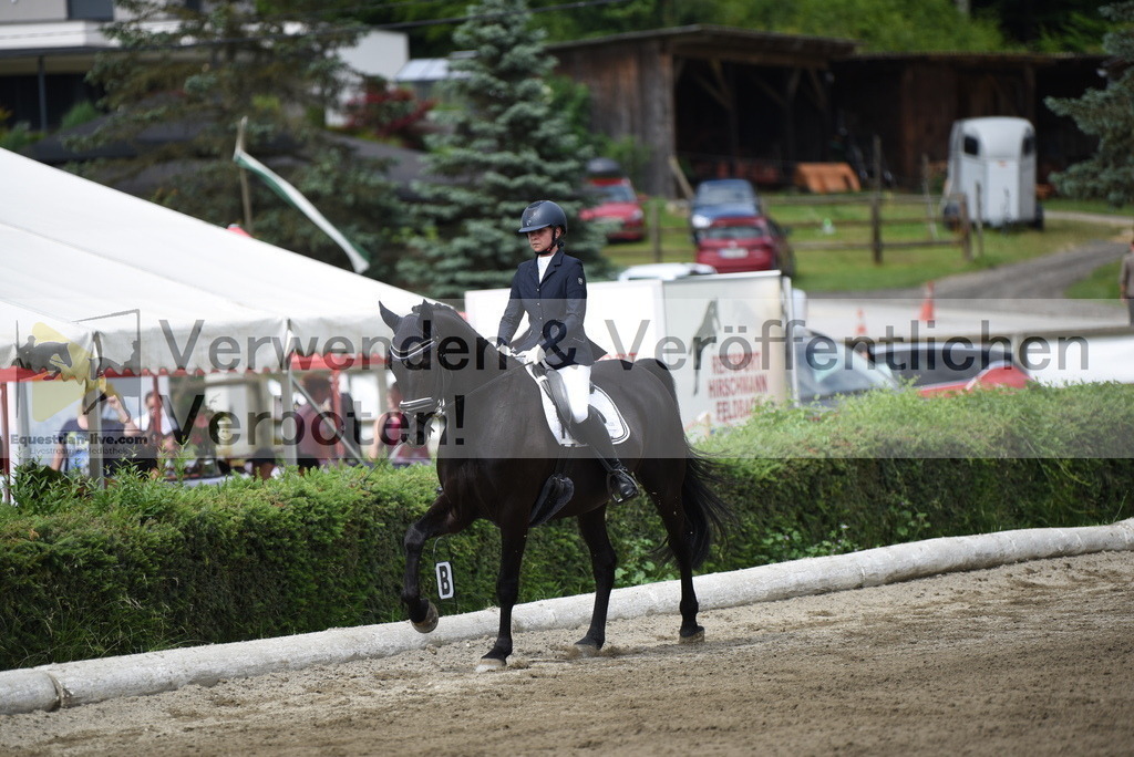 DSC_3952 | equestrian-live-com