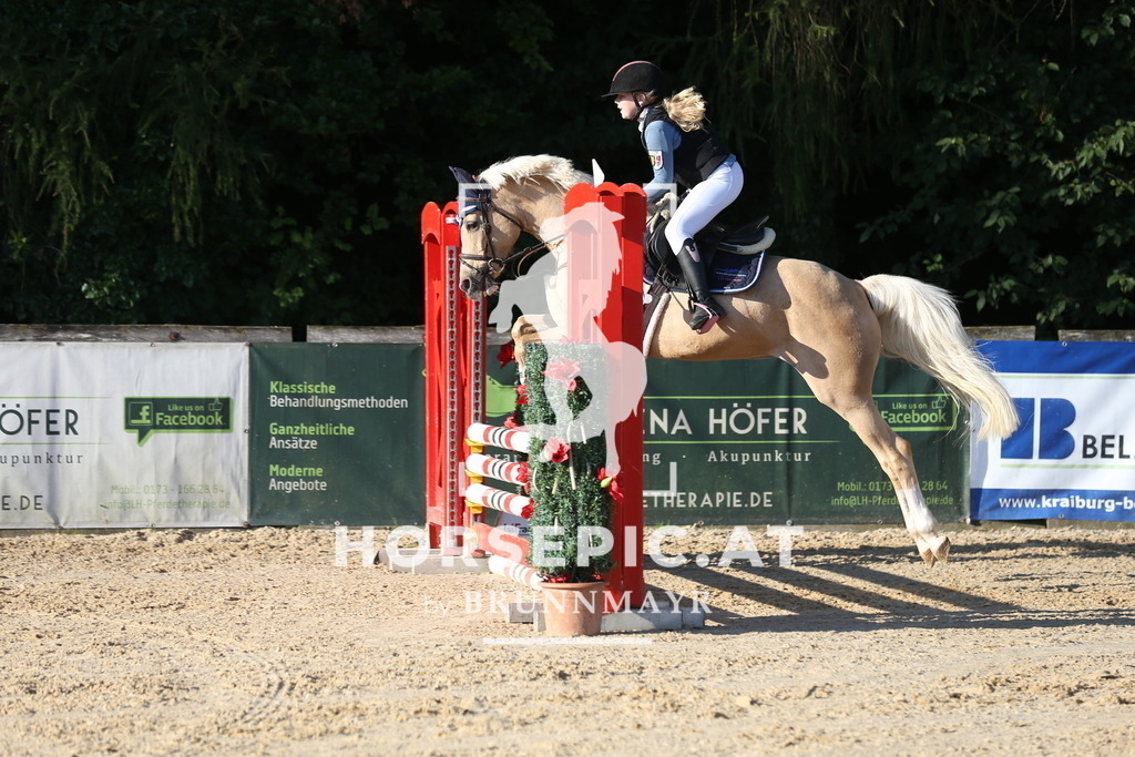 DL2Q7393 | Willkommen bei Brunnmayr - Design & Fotografie – Ihrem Spezialisten für Reitturniere und Pferdeveranstaltungen in Oberösterreich, Salzburg und Bayern! Seit über 17 Jahren sind wir leidenschaftlich dabei.