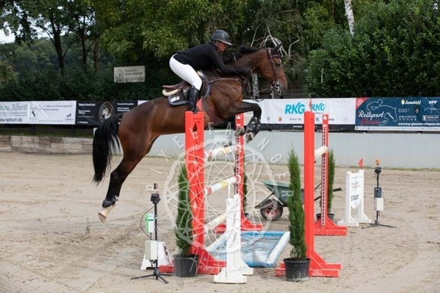 2B4A1163 | pixelfaenger - Realisiert mit Pictrs.com