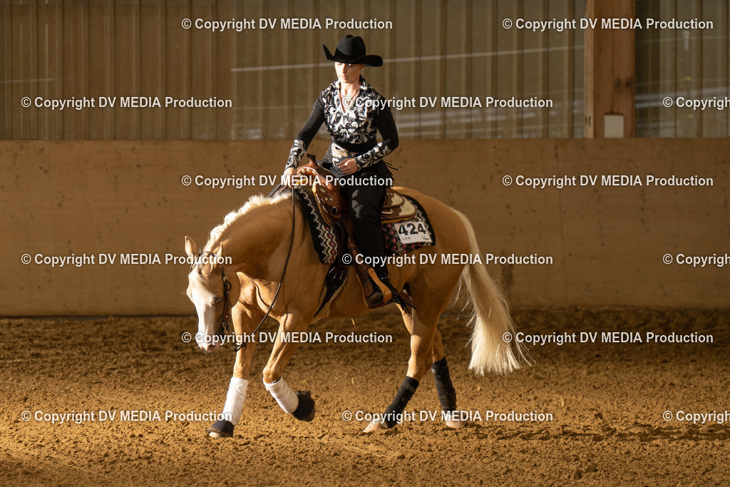 LAU01055 | dv-media-shop - Realisiert mit Pictrs.com