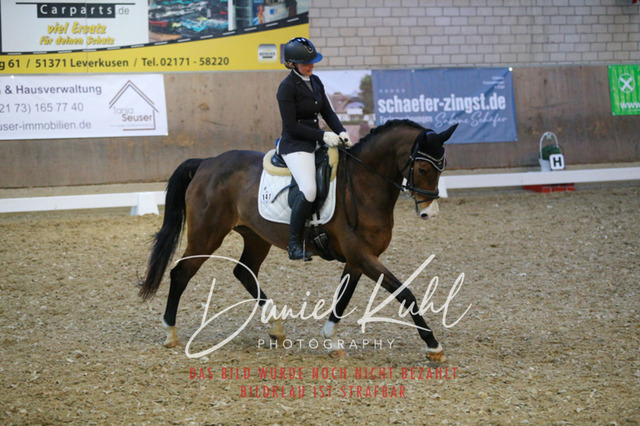 IMG_3019 | Turnierfotos kaufen im Webshop von Daniel Kuhl Photography – entdecke professionelle Reitsportfotos aus Turnieren & Events. Hochwertige Turnierbilder online bestellen & sichern. Jetzt Fotos von Reitsportturnieren kaufen!