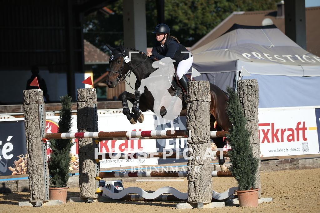 DL2Q1259 | Willkommen bei Brunnmayr - Design & Fotografie – Ihrem Spezialisten für Reitturniere und Pferdeveranstaltungen in Oberösterreich, Salzburg und Bayern! Seit über 17 Jahren sind wir leidenschaftlich dabei.