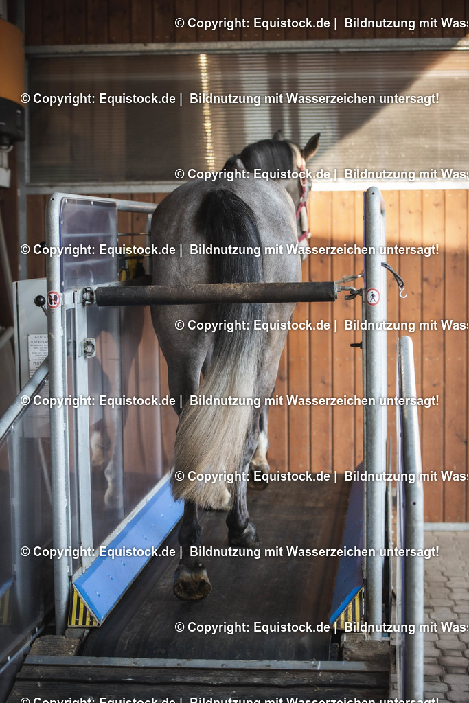 20200118_Laufband_0031 | Foto: Thomas Hartig