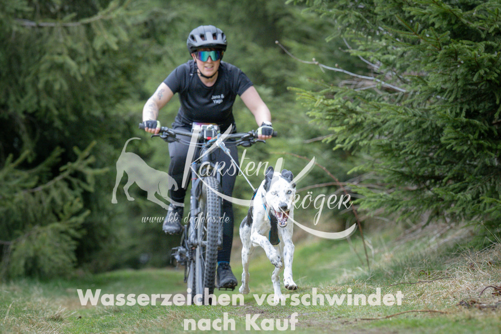 1311_ZZ93927 | kk-dogfotos