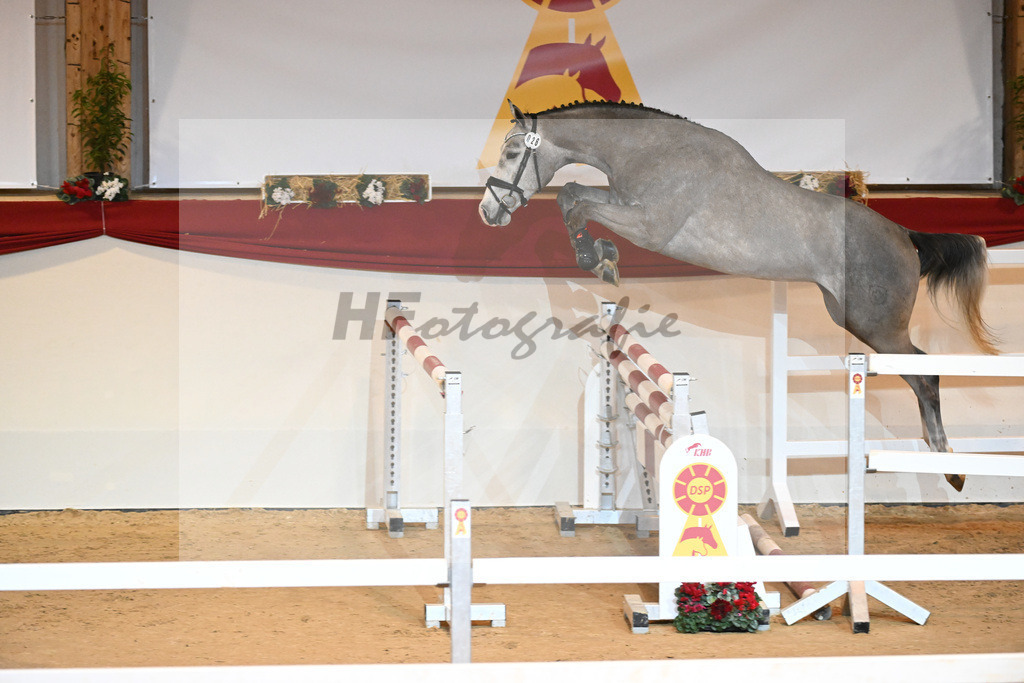 Kat-Nr. 26 Karajan_Mueller_1230996 | hf-fotografie - Realizzato con Pictrs.com