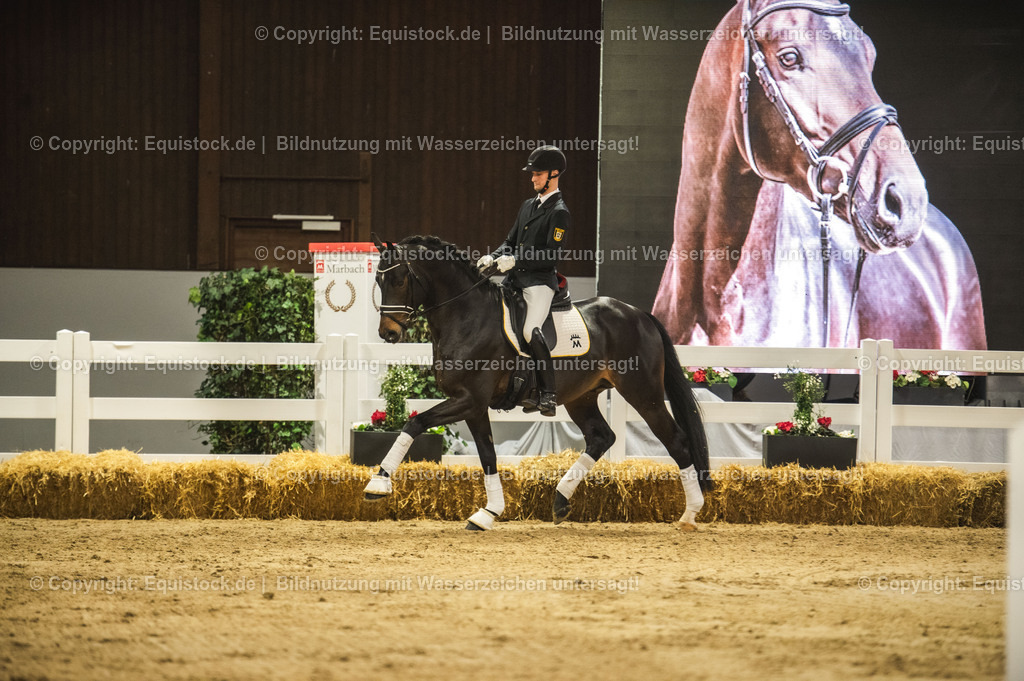 20240302_Hengstvorstellung_Marbach_TOMsPiC_0420 | equistock