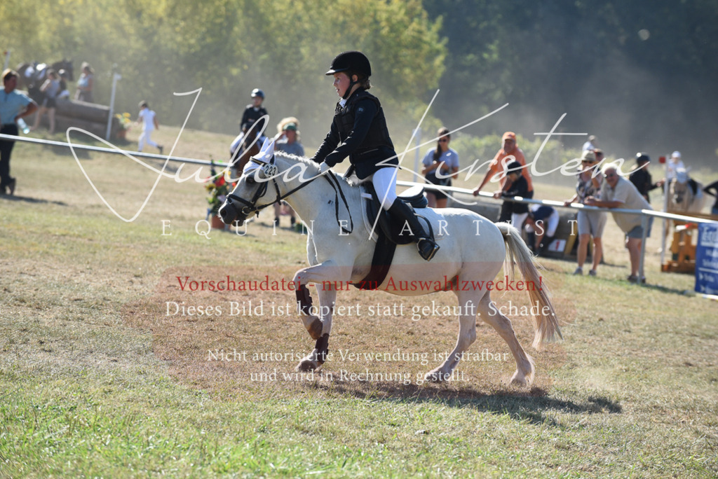 DSC_5909 | Pferde- und Turnierfotografie in Westsachsen. Pferdeportraits, Auftragszeichnungen und intuitive Kunst.