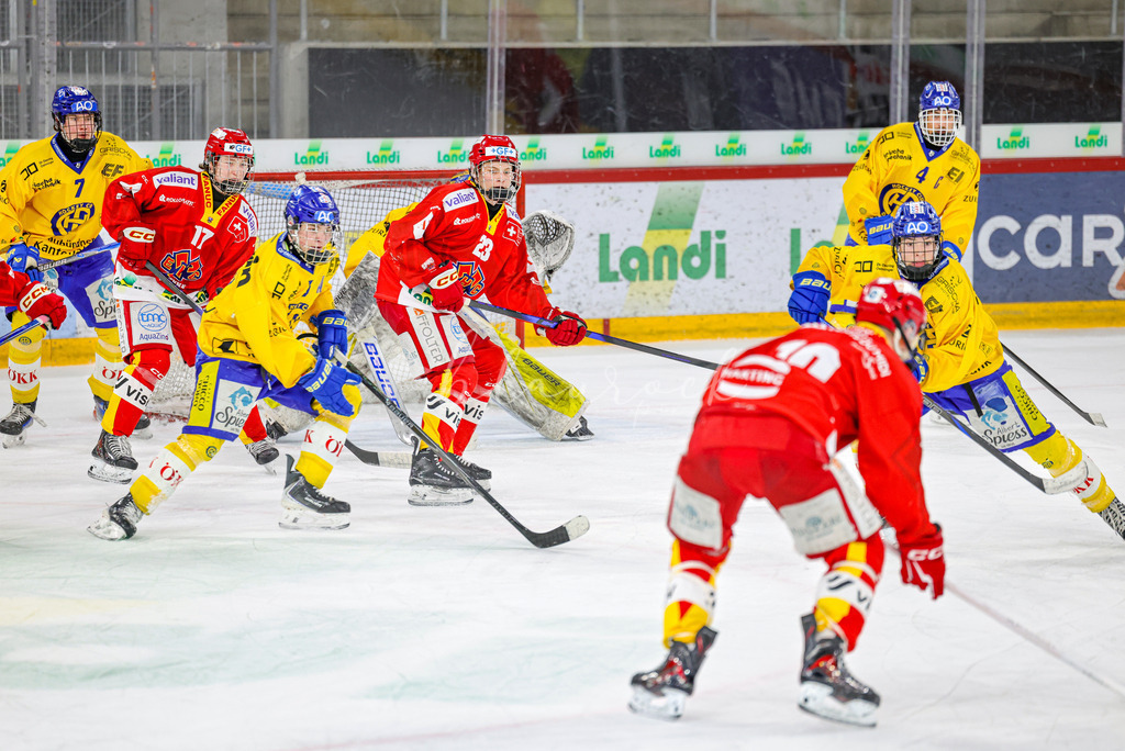 EHCB vs HCD-0300 | Sportbilder, Sportfotograf, Hochzeits- und Eventfotografin, Flugshows, Portraits und Tiershooting, Aviation, Downhill, Nationalleague, Swissleague, International