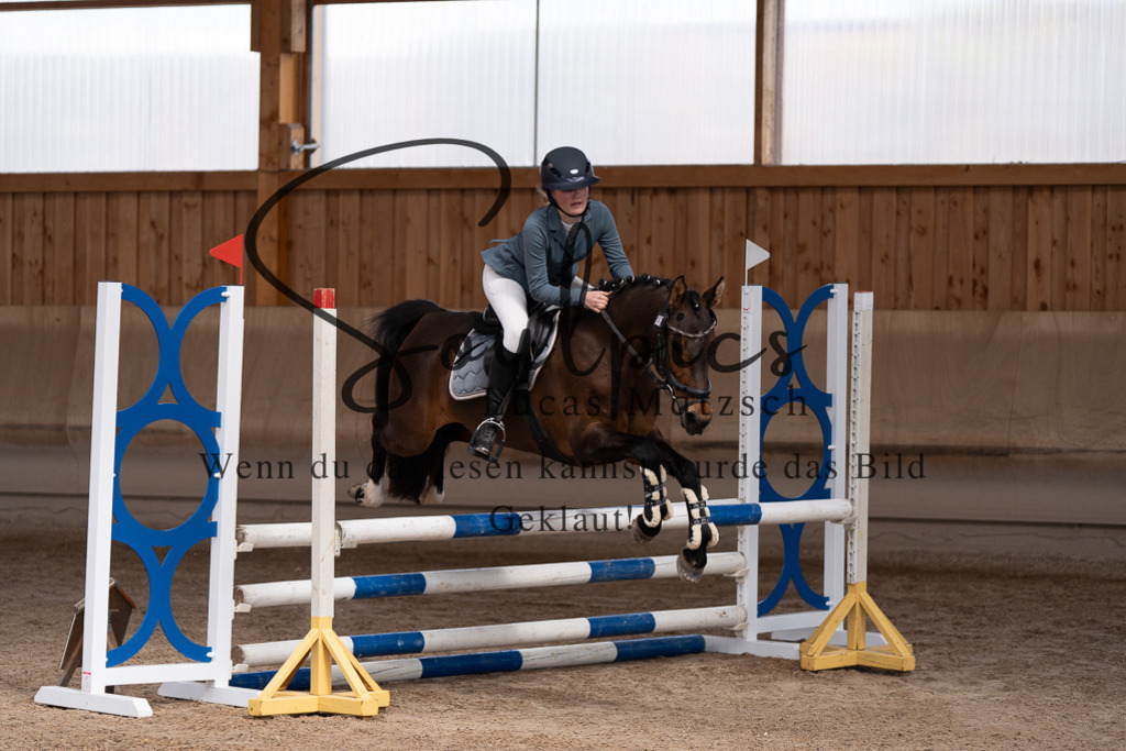 A7507428 | Pferdefotograf