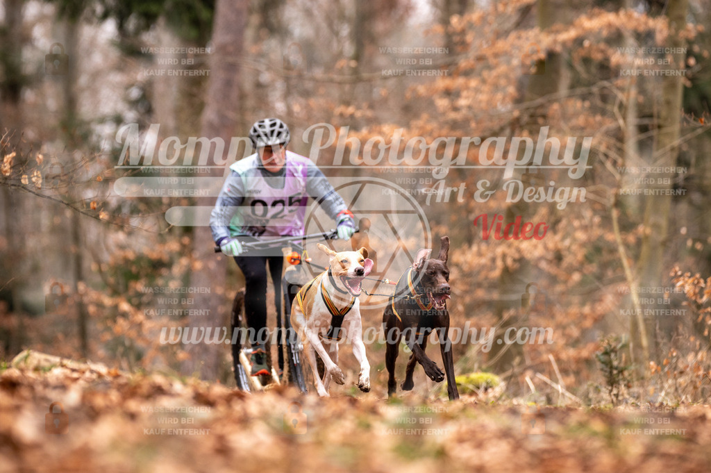 AKM_ST_2023_SAM_DS2-44 | PayLife