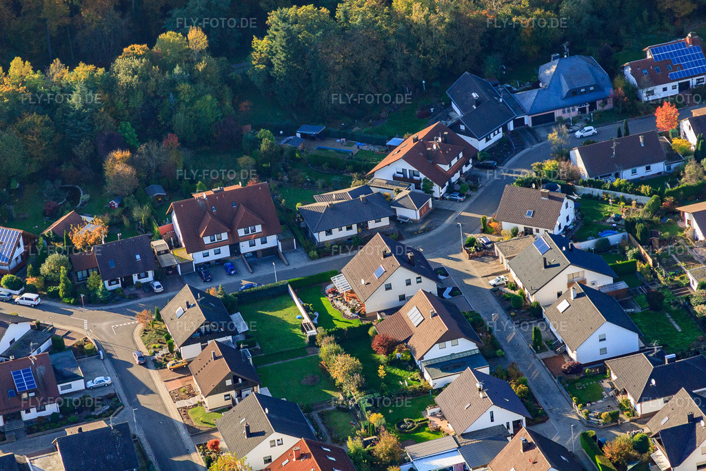 Luftbild: Südring in Rülzheim im Bundesland Rheinland-Pfalz in Deutschland. Foto: IMG_60457.jpg vom 24.10.2013 durch Werner Riehm/FLY-FOTO.de